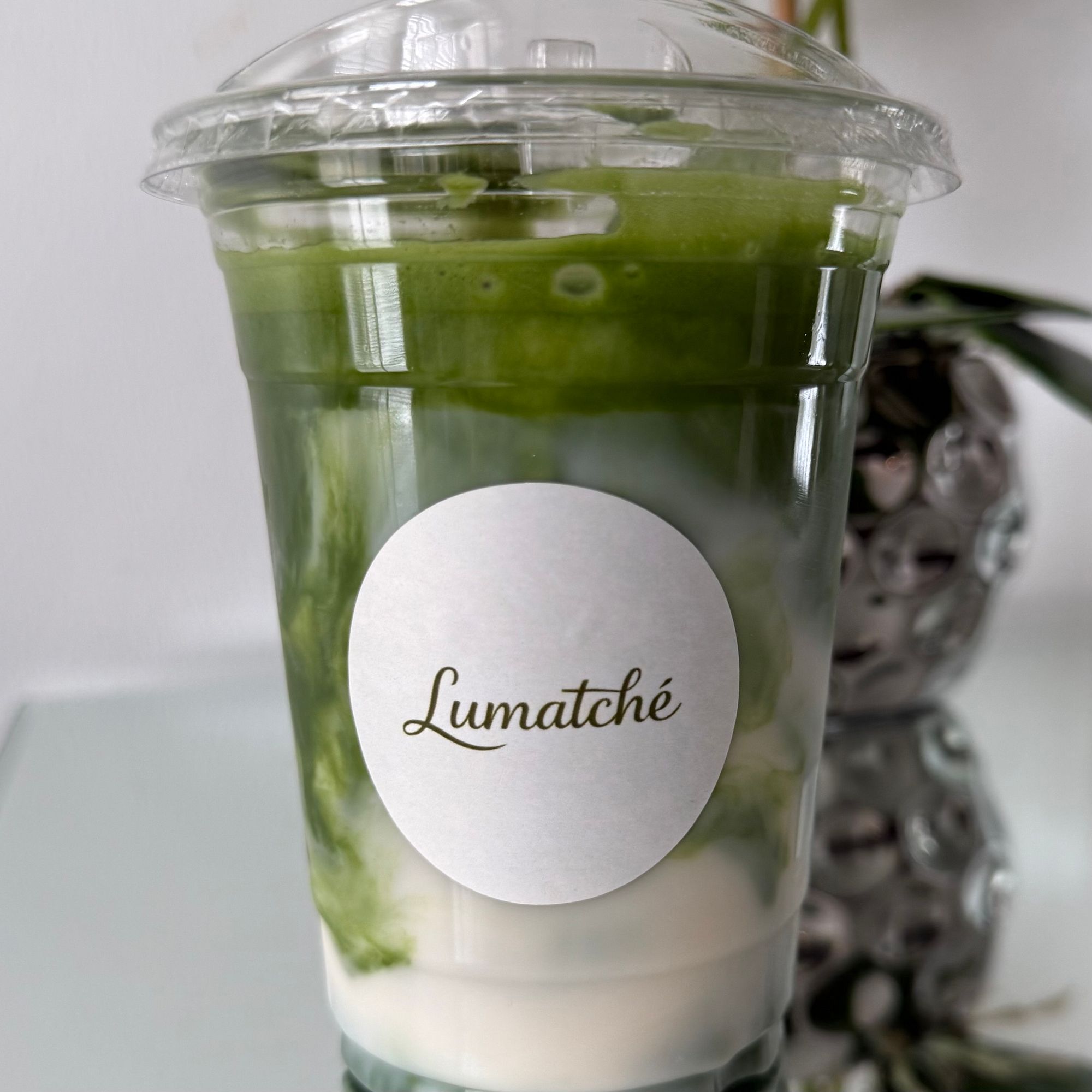 Iced Matcha Latte